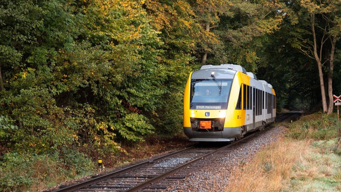 Local Train in Elsinore